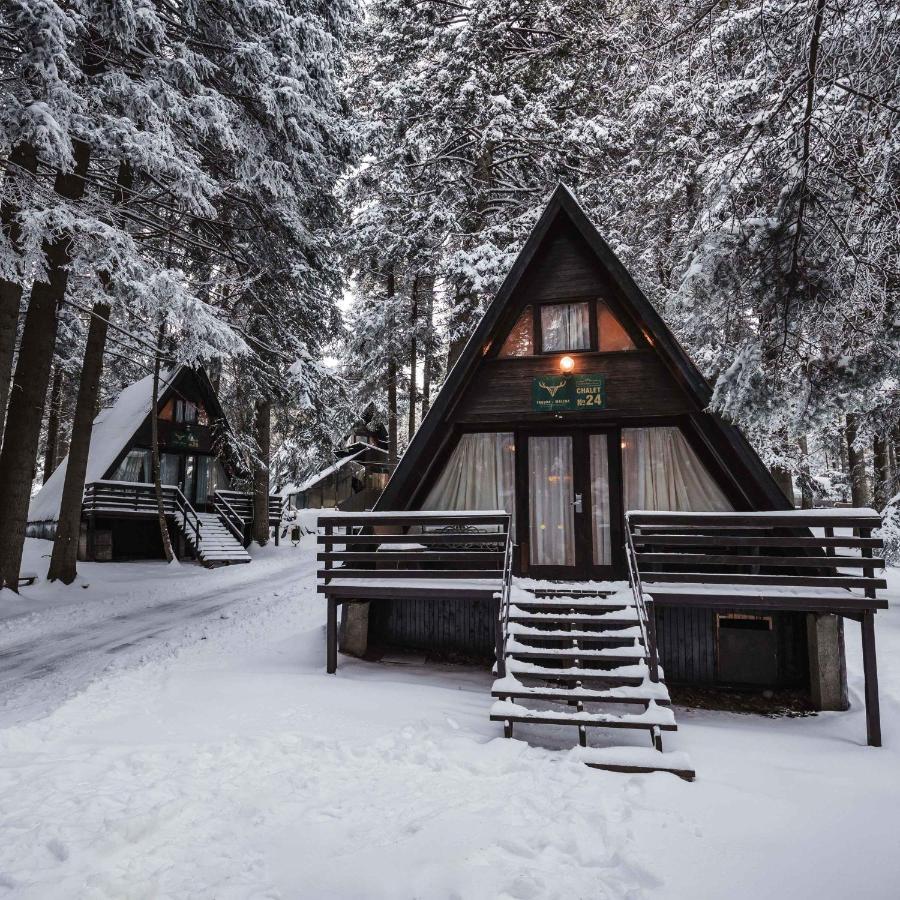 Villas Jagoda & Malina Боровец Экстерьер фото